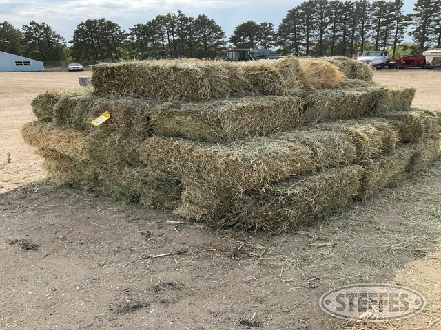 (50 Bales) 2x3 small square